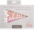 Lucy Darling Petit Milestone Pennants – Baby Monthly Milestone Pennant Flags – Newborn Photo Props & Felt Nursery Decor – Keepsake Banner Set for Baby Photos – Flower Child - Image 2