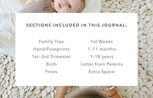 Promptly Journals, A Complete Childhood History: From Pregnancy to 18 Years Old (Powdered Lilac, Purple, Leatherette) | Baby Book and Pregnancy Journal | Baby Memory Book - Image 5