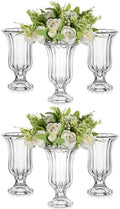 Glasseam 7.5In Tall Glass Vases for Centerpieces, Pedestal Vase for Flowers by Glasseam