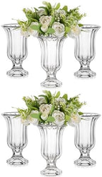 Glasseam 7.5In Tall Glass Vases for Centerpieces, Pedestal Vase for Flowers by Glasseam
