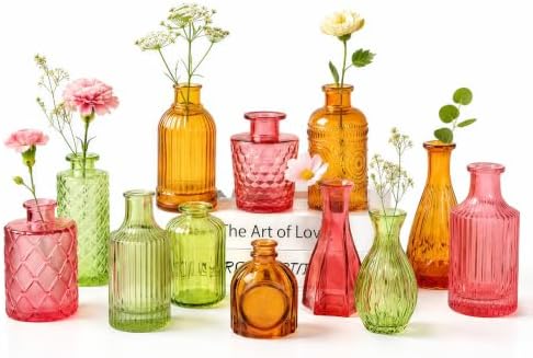 TBWIND 12 Pcs Colorful Glass Bud Vase Set by TBWIND