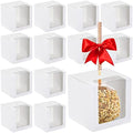 Henoyso 100 Pcs 4 x 4 x 4 in Candy Apple Boxes with Hole,White by Henoyso