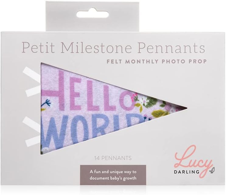 Lucy Darling Petit Milestone Pennants – Baby Monthly Milestone Pennant Flags – Newborn Photo Props & Felt Nursery Decor – Keepsake Banner Set for Baby Photos – Little Artist - Image 2