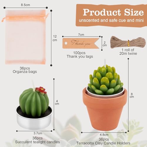 36 Pcs Succulent Cactus Candles Party Favors- Succulent Tealight Candles - Image 3