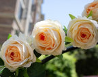 2Pcs 12Ft Bendable Flower Garland Faux Rose Vine for Home Decor,Champagne - Image 2