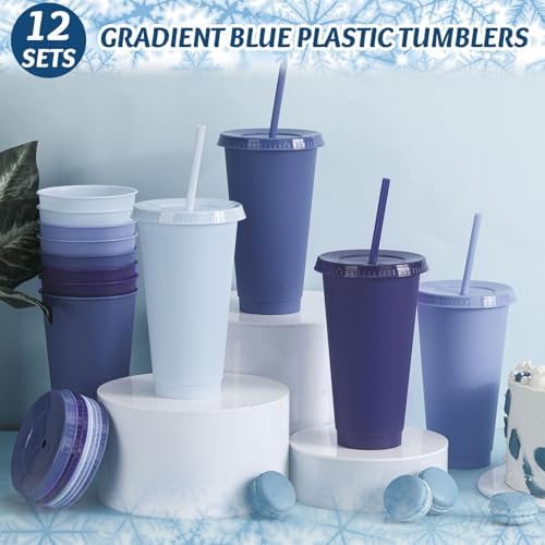 Skylety 24 Pcs Gray Blue Plastic Cups with Lids and Straws 24 oz - Image 4