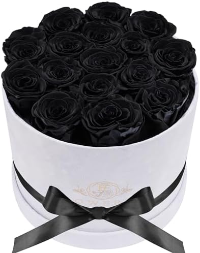 Prifroti 17 Flowers in a Luxury Suede Box, Birthday Gifts for Women, Preserved Flowers, Mothers Day Roses Gift for Mom, Black by Prifroti