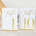 Acrylic Wedding Table Numbers 1-10 with Stands, 5"x7" White Acrylic Signs with Gold Mirror Fonts, White and Gold 3D Table Numbers for Wedding Reception, Anniversary, Event by Unknown