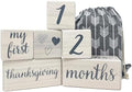 Pondering Pine Baby Milestone Blocks - Natural White Stain Pine Wood with Weeks Months Years Grade and Holidays, Newborn Weekly Monthly First Year Picture Props, 6 Block Milestones Age Set with Bag by PonderingPine