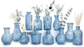 Mini Bud Vases Centerpieces for Tables,Clear Bud Vases for Flowers,Small Flower Vases Suitable for Birthday Party,Anniversary,Wedding Reception,Baby Shower (Blue, 12PCS) by Unknown