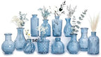 Mini Bud Vases Centerpieces for Tables,Clear Bud Vases for Flowers,Small Flower Vases Suitable for Birthday Party,Anniversary,Wedding Reception,Baby Shower (Blue, 12PCS) by Unknown