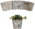 PRODUCT80 Succulent Pot Wraps for Weddings, Baby Shower Favors | Fits Most 2 Inch Square Pots Peel and Stick Vinyl Does Not Include Mini Live Plant or (50 Wraps, Weathered Barnwood Thank You) by PRODUCT80