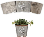 PRODUCT80 Succulent Pot Wraps for Weddings, Baby Shower Favors | Fits Most 2 Inch Square Pots Peel and Stick Vinyl Does Not Include Mini Live Plant or (50 Wraps, Weathered Barnwood Thank You) by PRODUCT80