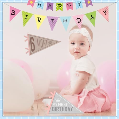VitalCozy 14 Pcs Baby Milestone Pennant Signs Monthly Newborn Birthday - Image 6