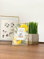 Beedecor Double Glass Frame for Pressed Flowers, Polaroid photos and Artwork,Gold 4x6 Standing Metal Picture Frames, Home Decor Photo Display, Set of 2 Pressed Flower Frames with Stand - Image 4