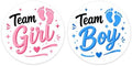 Gender Reveal Party Favors Team Girl Team Boy Baby Shower Vinyl Stickers 2" in (60 pcs) by NINJAMO