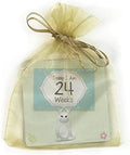 Kenco NICU Milestone Cards - 48 Total Milestones, Gender Neutral with Adorable Critters and Gift Ready Packaging - Preemie milestone cards (Gender Neutral 10 Sets) by KENCO