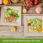 ECOLipak 100 Piecs Compostable Square Paper Plates, 10 inch, Nature - Image 6