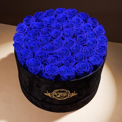 Prifroti 47 Flowers in a Luxury Suede Box, Birthday Gifts for Women, Preserved Flowers, Mothers Day Roses Gift for Mom,Blue - Image 2