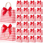 FunooFuno 50 Pack Red Gingham Gift Bags with Bows, Berry First Birthday by Unknown