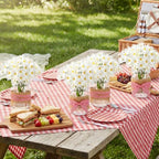 Daifunli 6 Set Picnic Party Centerpieces for Table Mason Jar Table Decor - Image 5