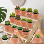 36 Pcs Succulent Cactus Candles Party Favors- Succulent Tealight Candles - Image 6
