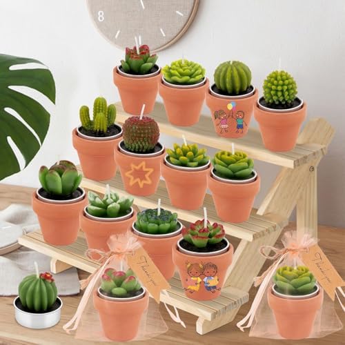 36 Pcs Succulent Cactus Candles Party Favors- Succulent Tealight Candles - Image 6