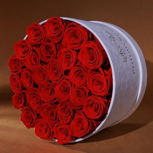Prifroti 27 Flowers in a Luxury Suede Box, Birthday Gifts for Women, Preserved Flowers, Mothers Day Roses Gift for Mom, Red - Image 2