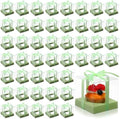 Thenshop 50 Pcs Clear Cupcake Boxes Individual 3.5 Inch, Light Green by Thenshop