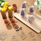 Reallnaive 24 Sets Baby Shower Party Favors Seed Packets Baby in Bloom - Image 2