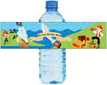 100 Pirate Birthday Party Water Bottle Labels 100 Count Easy to use self Stick Labels by DesignThatSign