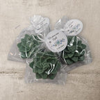 Boho Garden Personalized Succulent Soap 10 Party Favors for a Bohemian Bridal Shower, Wedding Party, Baby Shower or Birthday with Tags Baby in Bloom - Image 7