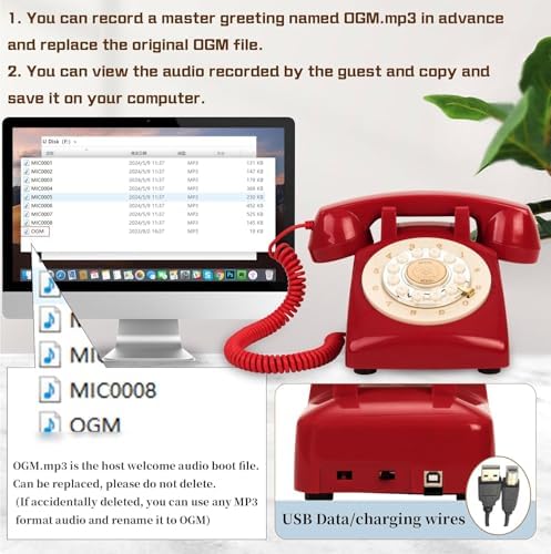 Audio Guest Book Wedding Phone,32GB Memory Customized Audio Messages, Volume Adjustable, with Message Replay Feature, Suitable for All Kinds of Party(Red+Golden Sign) - Image 5