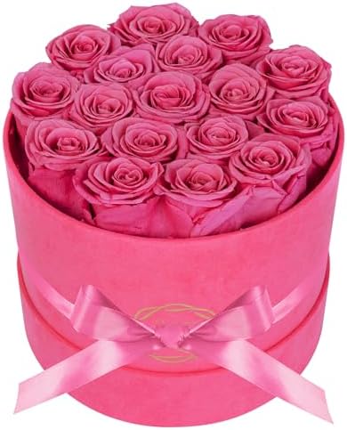 Prifroti 17 Flowers in a Velvet Pink Box, Birthday Gifts for Women, Preserved Flowers, Mothers Day Roses Gift for Mom, Pink by Prifroti