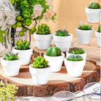 Shihanee 48 Pcs Bulk Succulent Candles Decorative Cactus Tealight Candles Handmade Mini Terracotta Clay Holders House Warming Wedding Baby Shower Spa Mexican Coworkers Teacher Birthday Gifts(White) - Image 5