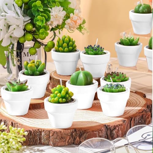 Shihanee 48 Pcs Bulk Succulent Candles Decorative Cactus Tealight Candles Handmade Mini Terracotta Clay Holders House Warming Wedding Baby Shower Spa Mexican Coworkers Teacher Birthday Gifts(White) - Image 5