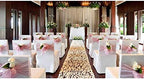 Set of 100 Organza Sheer Chair Sashes Bows Ties 7x108 inches for Wedding Party Event Banquet Restaurant Christmas Decoration (Champagne) - Image 6