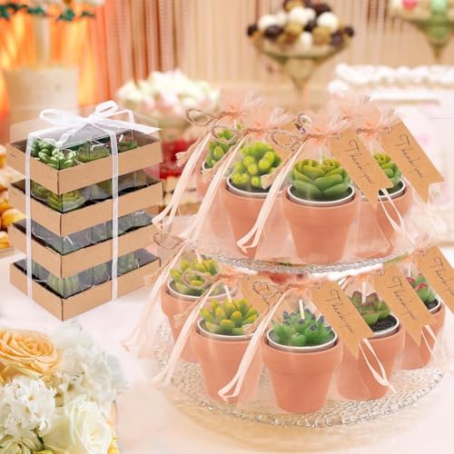 36 Pcs Succulent Cactus Candles Party Favors- Succulent Tealight Candles - Image 2