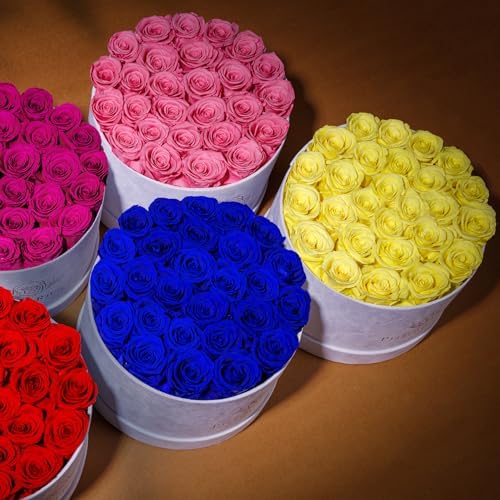 Prifroti 27 Flowers in a Luxury Suede Box, Birthday Gifts for Women, Preserved Flowers, Mothers Day Roses Gift for Mom, Light Pink - Image 6