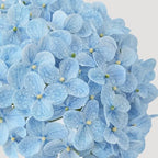 ZYTUYO 20 inches 4 Pcs Sky Blue Real Touch Hydrangea Artificial Flowers Boho Lifelike Real Looking Latex Hydrangeas Flower with Long Stem for Home Decor Spring Table Centrepiece - Image 6