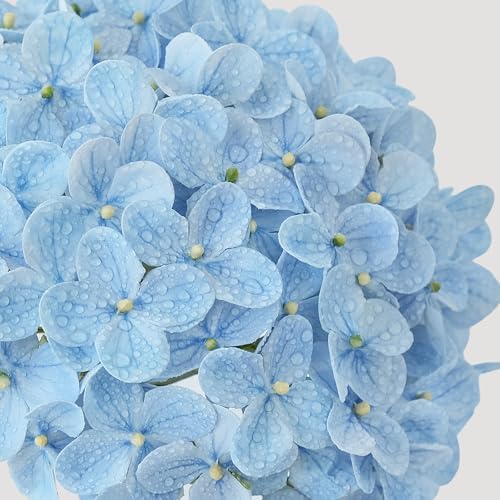 ZYTUYO 20 inches 4 Pcs Sky Blue Real Touch Hydrangea Artificial Flowers Boho Lifelike Real Looking Latex Hydrangeas Flower with Long Stem for Home Decor Spring Table Centrepiece - Image 6