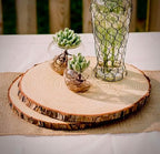 Set of 10 Large Wood Slices (11-13”) – Rustic Wooden Rounds for Wedding Centerpieces, Event Decor, and Table Centerpieces - Image 3