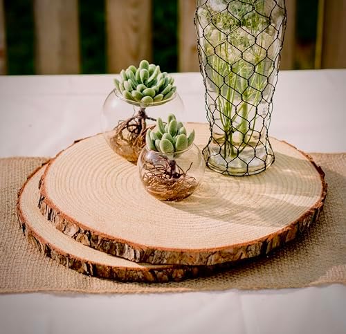 Set of 10 Large Wood Slices (11-13”) – Rustic Wooden Rounds for Wedding Centerpieces, Event Decor, and Table Centerpieces - Image 3