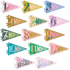 Lucy Darling Petit Milestone Pennants – Baby Monthly Milestone Pennant Flags – Newborn Photo Props & Felt Nursery Decor – Keepsake Banner Set for Baby Photos – Little Artist by LucyDarling