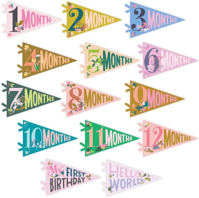Lucy Darling Petit Milestone Pennants – Baby Monthly Milestone Pennant Flags – Newborn Photo Props & Felt Nursery Decor – Keepsake Banner Set for Baby Photos – Little Artist by LucyDarling