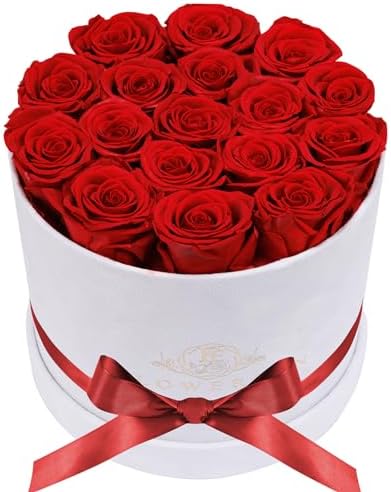 Prifroti 17 Flowers in a Luxury Suede Box, Birthday Gifts for Women, Preserved Flowers, Mothers Day Roses Gift for Mom, Red by Prifroti