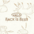 HALO SleepSack, 100% Cotton Wearable Blanket, Swaddle Transition Sleeping Bag, TOG 0.5 - Image 6