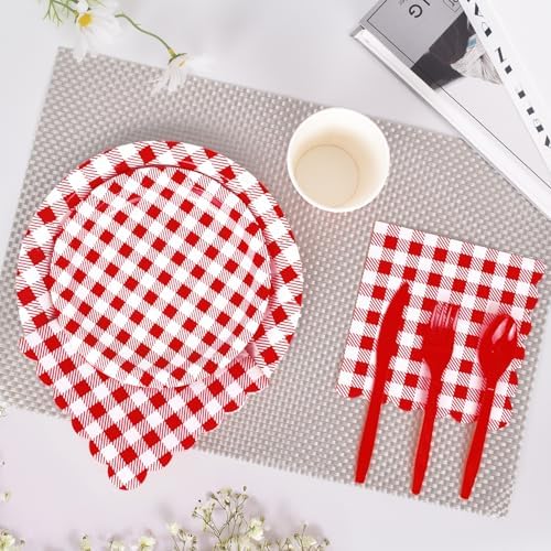 Vyntra 350-Pc Red Gingham Paper Plates and Napkins Party Supplies - Image 4