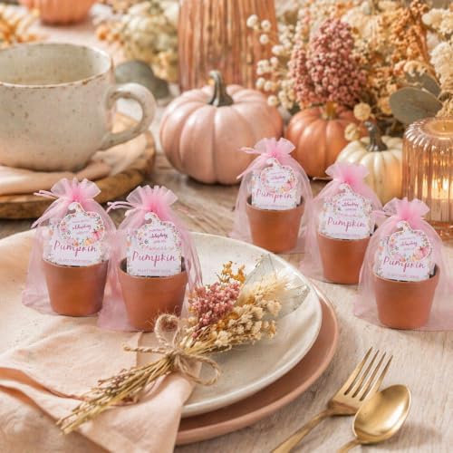 JarThenaAMCS 50 Sets Pink Little Pumpkin Baby Shower Party Favors Fall Planting Gift Set with Mini Pots Seed Packets Organza Bags Thank You Tags for Guests Autumn Thanksgiving Gender Reveal - Image 7