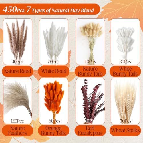 530/450Pcs Dried Pampas Grass Set for Dry Flower Home Decor (450Pcs Fall) - Image 2